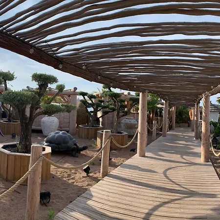 T2 En Rez De Jardin Privatif Cloture , Cap Esterel Pierre Et ,piscine Chauffee Des Le 05 Avril Au 02 Novembre *