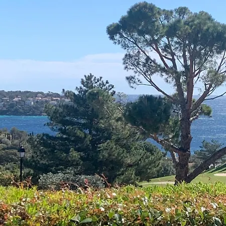 T2 En Rez De Jardin Privatif Cloture , Cap Esterel Pierre Et ,piscine Chauffee Des Le 05 Avril Au 02 Novembre Appartement