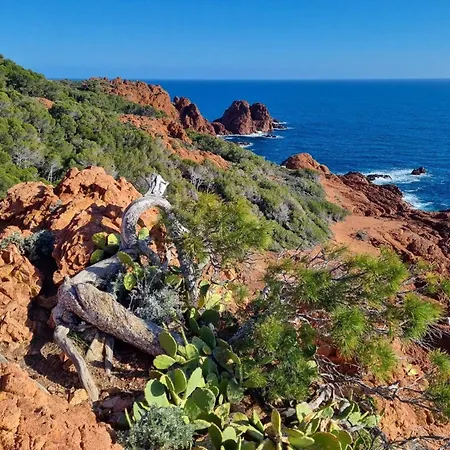 T2 En Rez De Jardin Privatif Cloture , Cap Esterel Pierre Et ,piscine Chauffee Des Le 05 Avril Au 02 Novembre *