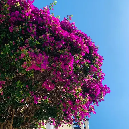 Cap Estérel Pierre&vacances Raphaël- Rez-de-jardin Clôturé Pour 4 Personnes - Parking - 4 Piscines Dont Chauffée Du 04 Avril Au 02 Novembre *