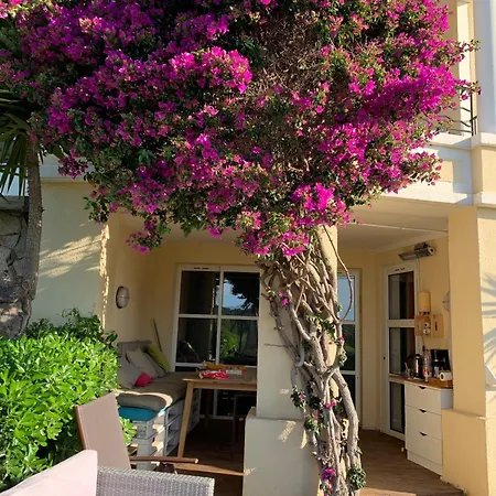 Cap Estérel Pierre&vacances Raphaël- Rez-de-jardin Clôturé Pour 4 Personnes - Parking - 4 Piscines Dont Chauffée Du 04 Avril Au 02 Novembre * Saint-Raphaël