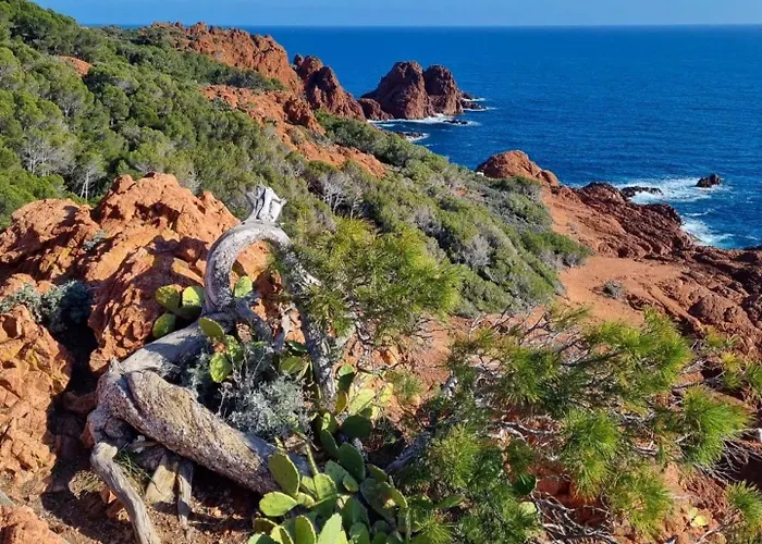 Appartement Premium - Vue Mer -Jardin Cloture -Terrasse -Parking - Piscine Chauffee Du 04 Avril Au 01 Novembre- Saint Raphael *