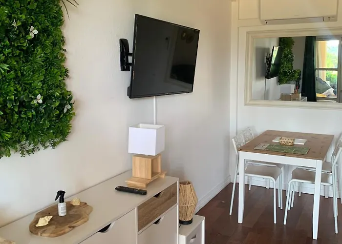 Appartement Premium - Vue Mer -Jardin Cloture -Terrasse -Parking - Piscine Chauffee Du 04 Avril Au 01 Novembre- Saint Raphael